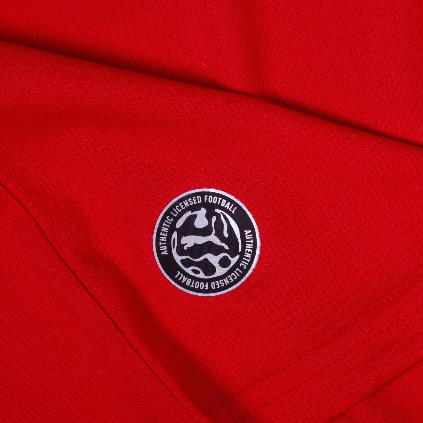 Puma Camiseta Austria Local 2026-2027