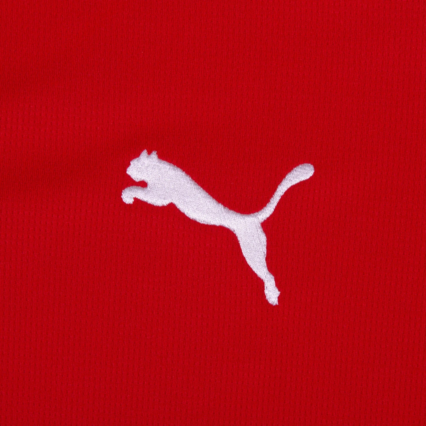 Puma Camiseta Austria Local 2026-2027