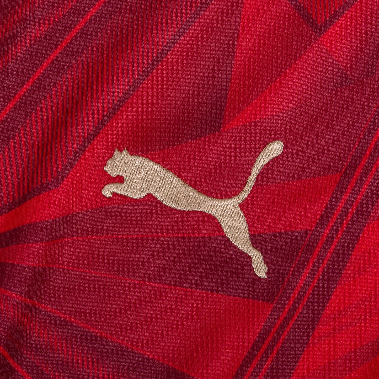Puma Camiseta Egipto Local 2026-2027