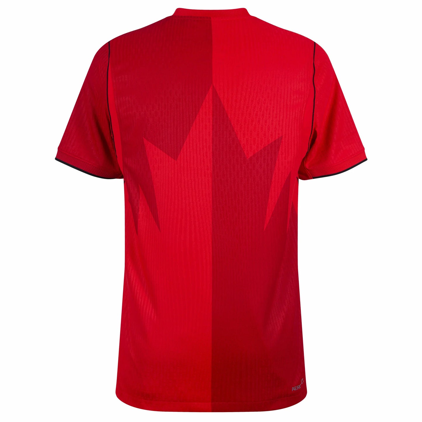 Nike Camiseta Canadá Aero-Fit Match Local 2026-2027
